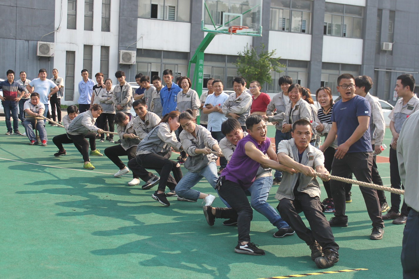 云顶国际·(中国)唯一官方网站