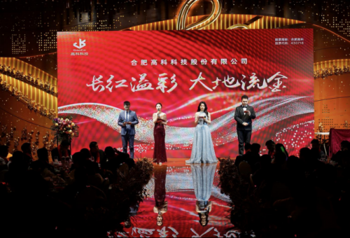 长红溢彩龙摆尾  大地流金蛇开岁——合肥云顶国际2025年会盛典圆满落幕